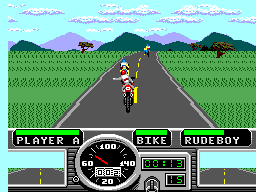 Road Rash (Europe) In game screenshot